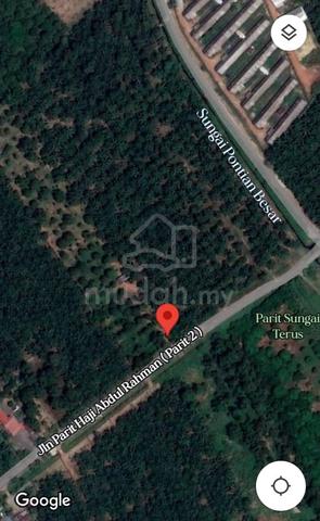 TANAMAN DURIAN READY Tanah Pertanian Non Bumi Mukim Api api Pontian 1