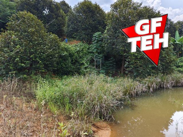 4.27 acre Residential Land|Durian Farm / Orchard| Kuala Kangsar| Perak 1