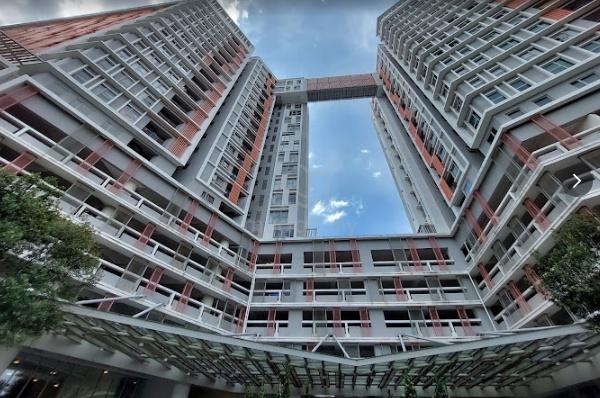Suria Jelutong 1