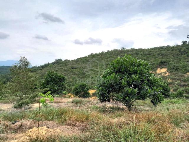 Agricultural Land At Pertang Jelebu, Negeri Sembilan 1