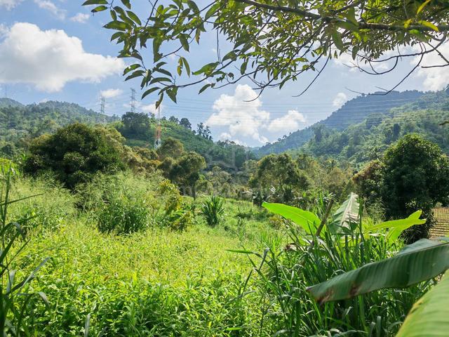 [MALAY RESERVED 1.9 EKAR ] Land Janda Baik, Bentong Pahang 1