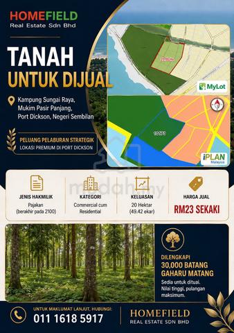 Tanah dan Pokok Gaharu Untuk Dijual di Port Dickson Negeri Sembilan 1