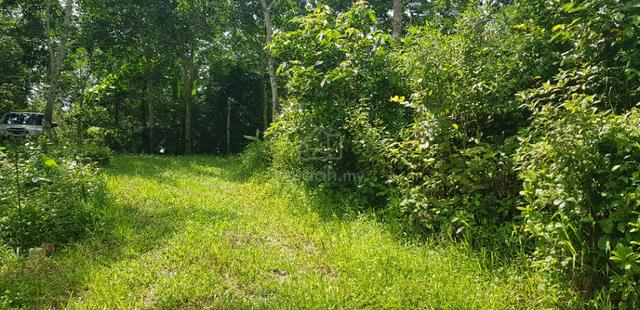 Tanah Kebun Getah dan Dusun Buah lokasi Menarik Dekat UiTM Kuala Pilah 5