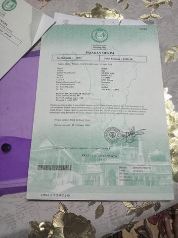 Tanah Dusun Siap Berbuah dan Kebun Getah Untuk Dijual 2