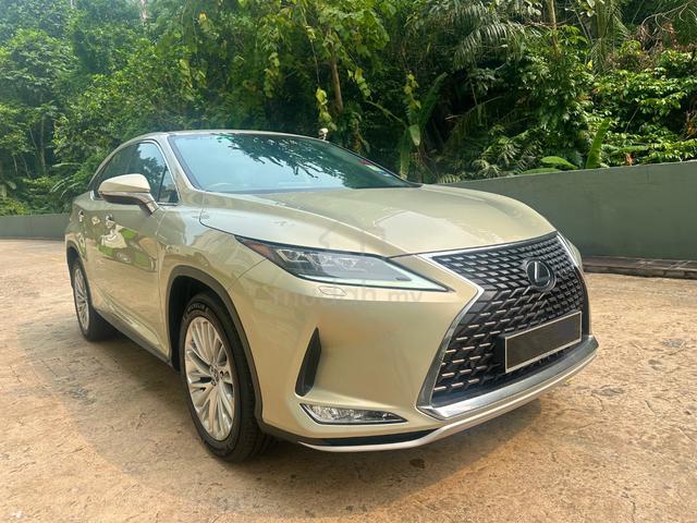 Local FSR 2019 Lexus RX300 2.0 Full serv record - 1