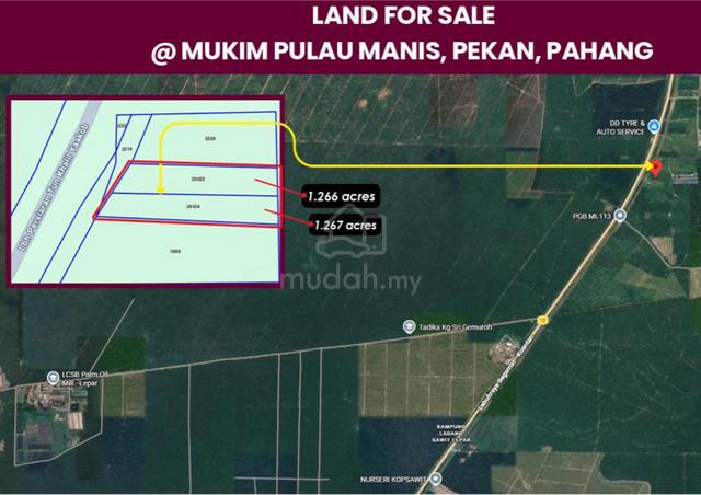 LAND FOR SALE @ Mukim PULAU MANIS, PEKAN, PAHANG 1