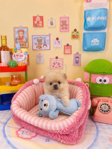 Carousel Image