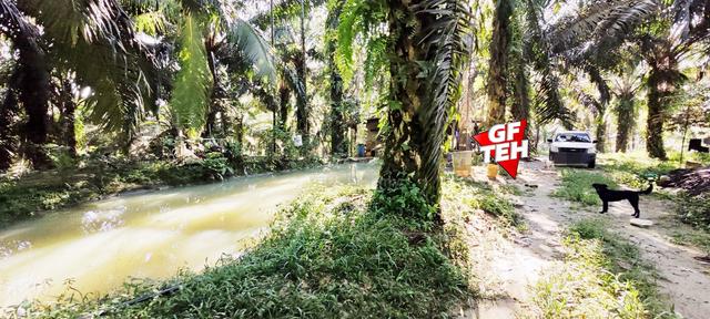 22.39 acre Agricultural Land (Hilly) | Junjong | Kulim | Kedah 1