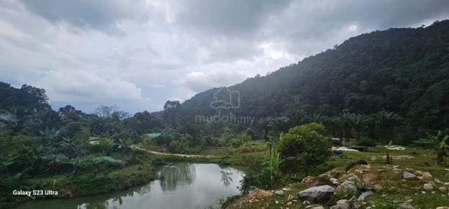 4.36 acres mix fruit farm come with bungalow house at Jelapang, Ipoh 5