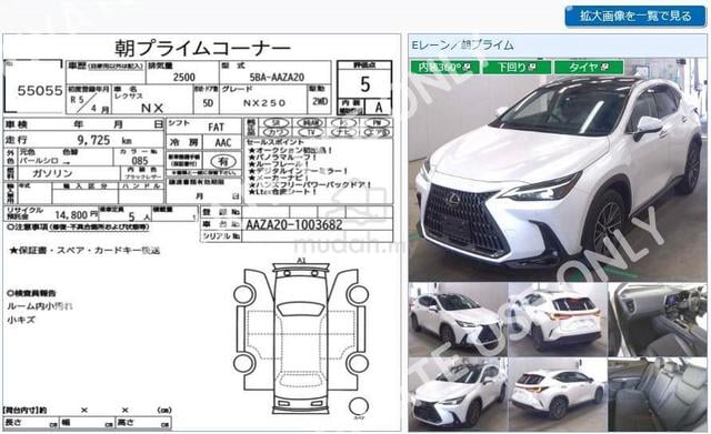 2023 Lexus NX250 2.5 P.SUNROOF BLACK LTR 9K KM 5A - 5
