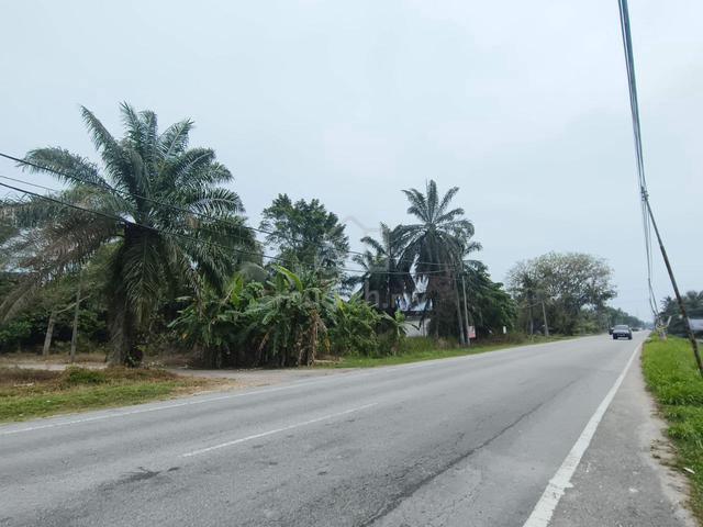Selangor Kuala Langat Morib / Kelanang 3.11 acres Agri Land (Oil Palm) 5