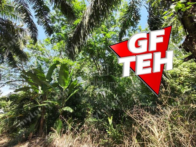 6.85acres Agricultural Land | Lenggong | Perak | Rm3.21psf k 5