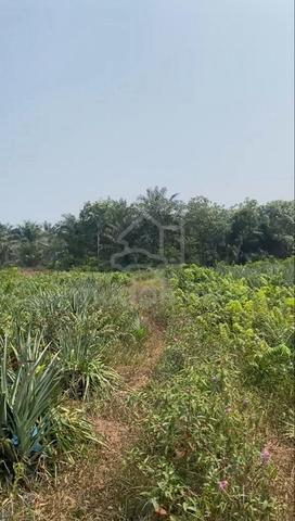 land for sale‼️ 1