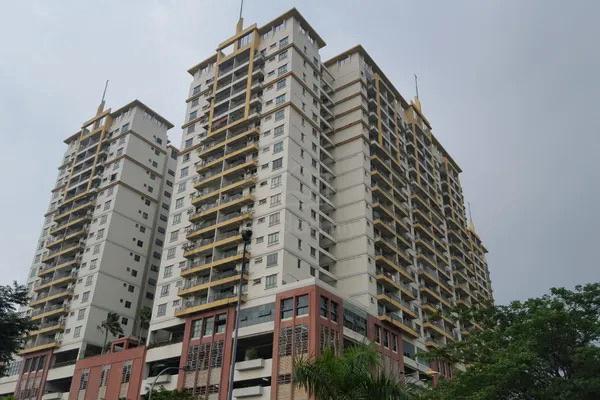 D Alamanda 1