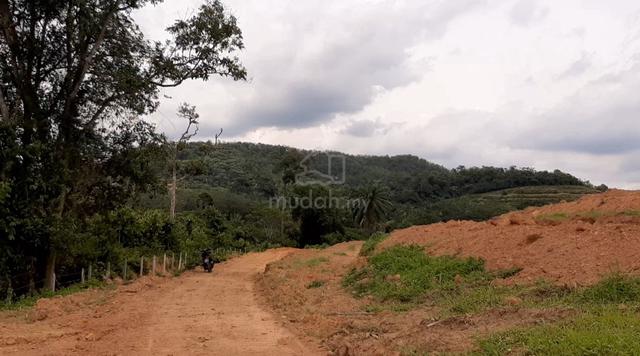 Tanah Freehold ½ Ekar Untuk Dijual 1
