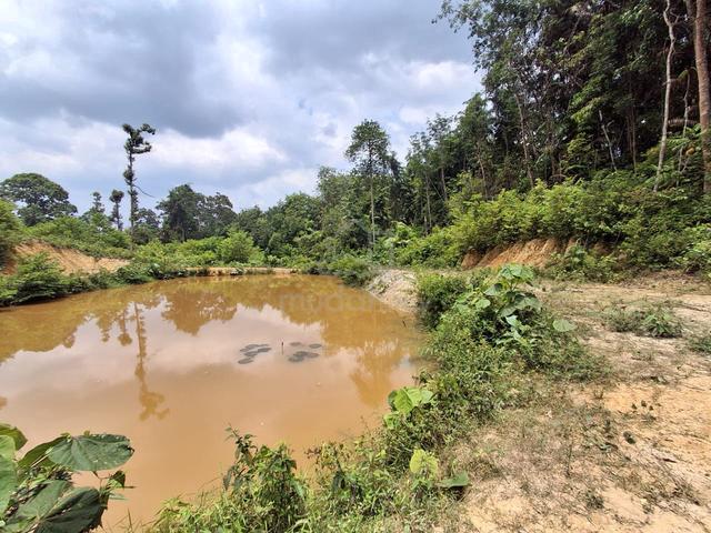 Tanah lot pertanian 3.44 ekar siap kolam air tawar di kg sega raub 1