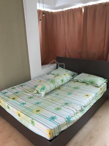 University Condo Apartments 2 4