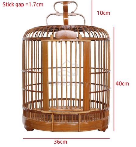 Carousel Image