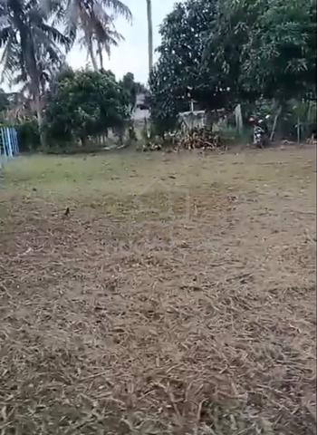 Tanah untuk dijual 1