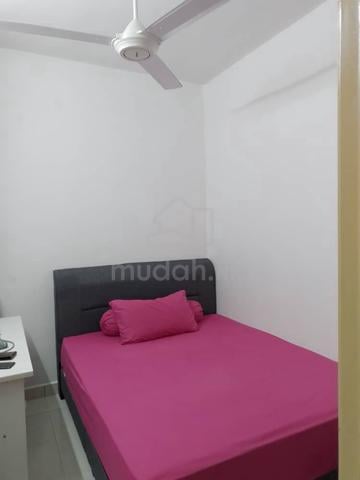 Idaman Lavender 3 1