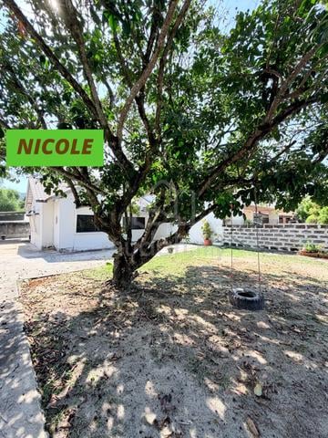 Tanjung Bungah Single Storey Semi-D Huge Garden Near Hillside Seaside 1