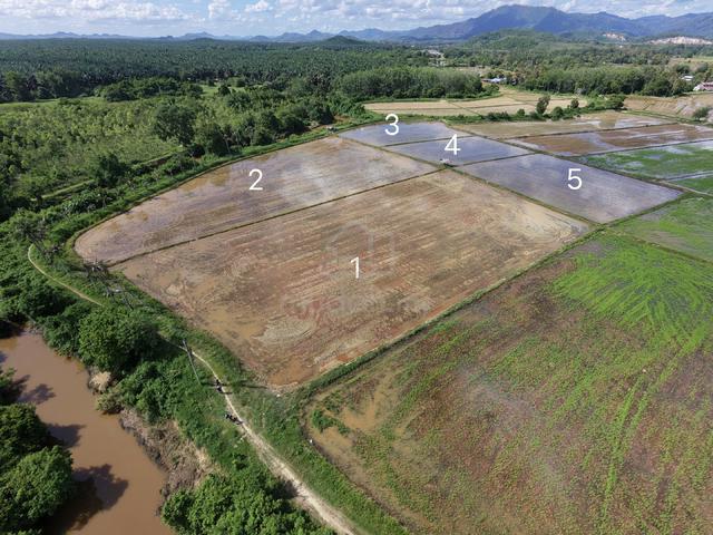 Tanah Sawah tepi sungai untuk dijual 1