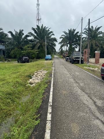 Tanah Pertanian Kampung Lukut Kota Tinggi Johor 4