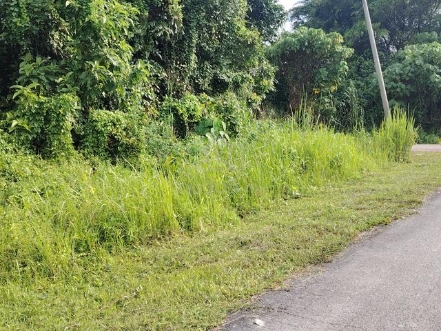 4,000sf😊 500 METRES KE ECONSAVE 😊 TMN DESA SIMPANG SENTOSA TPG 1