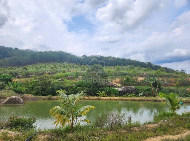 Agriculture Land for Sale, 21 Acres Freehold, Tampin 1