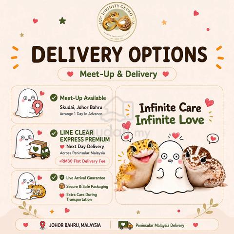 Carousel Image