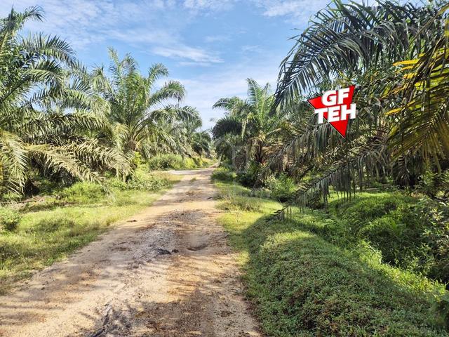 14.2 acre Agricultural Land | Kuala Selama | Bandar Baharu | Kedah b 1