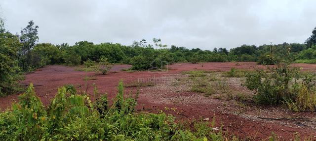 Sungai Petani Pinang Tunggal Agricultural Land 5-Acres Near Plaza Tol 1