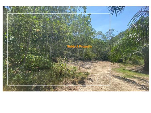 8.1 Acres Freehold Agriculture Land for Sale Perlop 1, Sungai Siput 1