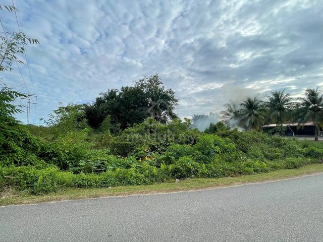 Tanah pertanian Kg Olong, Binjai Kemaman 1