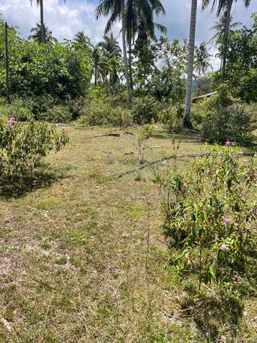 Tanah Untuk Dijual 1
