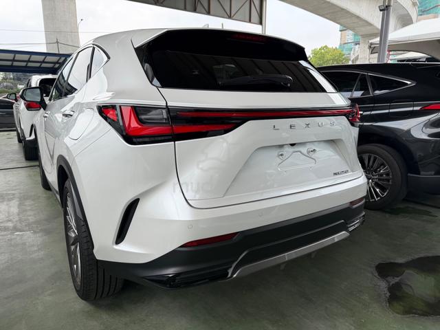 2023 Lexus NX 250 2.5 LUXURY (A) P/ROOF - 4