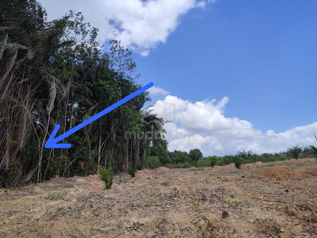 6 Ekar Tanah Kosong Kg Paya Lang Batu Anam Segamat Johor 1