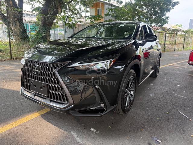 2024 Lexus NX250 2.5 LUXURY 360View BSM DIM P/Boot - 2