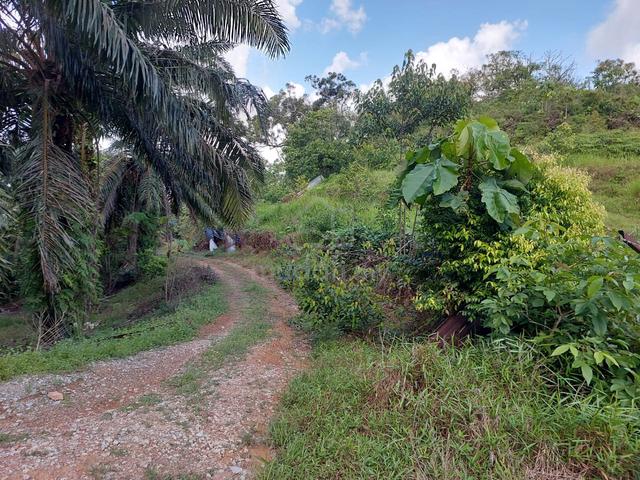 Kota Tinggi Mawai Batu 3 Agriculture Land For Sale 1