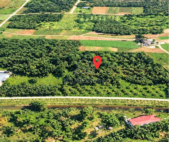 5 Plots Agriculture Land Kapar Klang | 1.25 Acres 1