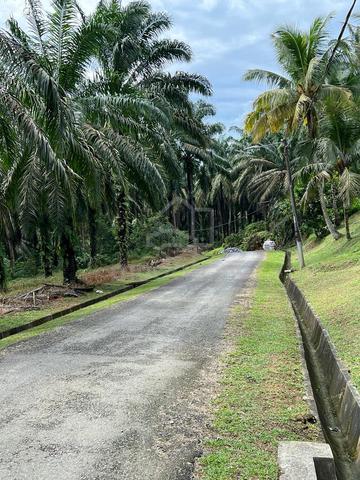 Mersing Agriculture Land 1