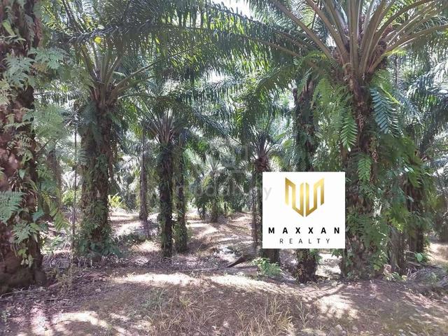 Land for Sale at Sukau 1