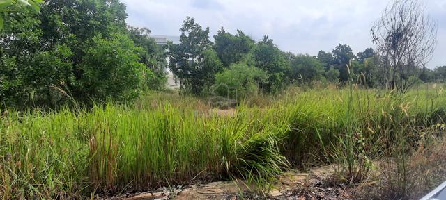 Residential Bungalow land at Bandar Putra Kuantan Pahang. 1