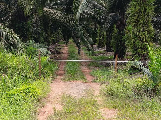 tanah kebun batu hampar, ayer baloi, johor 1
