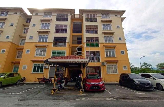 Housemate Wanted (male) 1