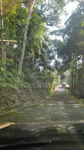 Tanah 3 ekar, sesuai utk rumah, kebun, resort di Janda Baik, Termerloh 3