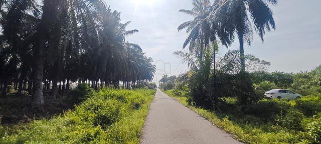 Tanah Pertanian 12 Ekar β Teluk Intan (FREEHOLD) 1