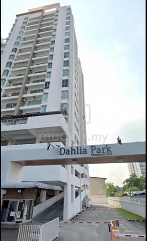 Dahlia Park 1