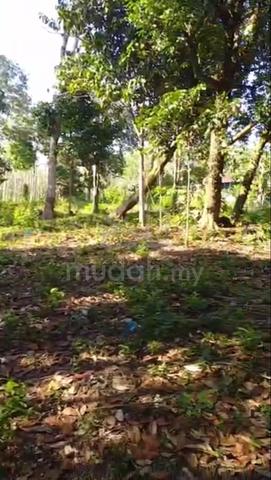 Tanah Kebun Berbaloi Di Kedah 2