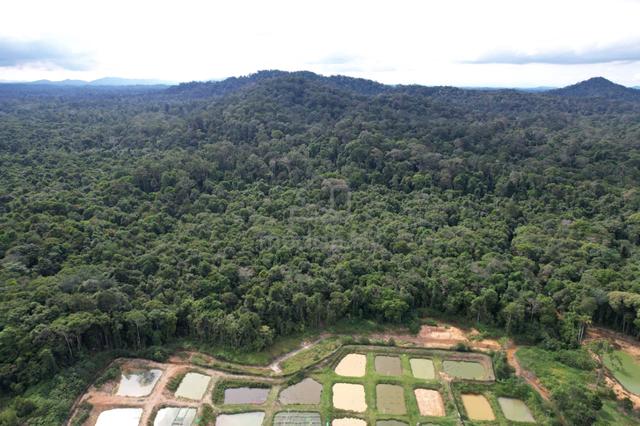 Tanah 2 ekar, Kg Wak Salam, Mersing, Johor 1